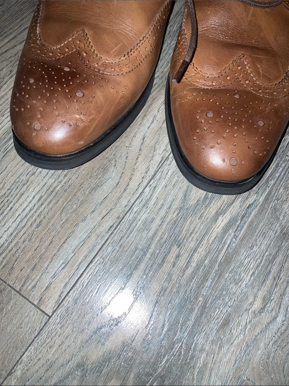 Men’s Derby Oxfords in Silver